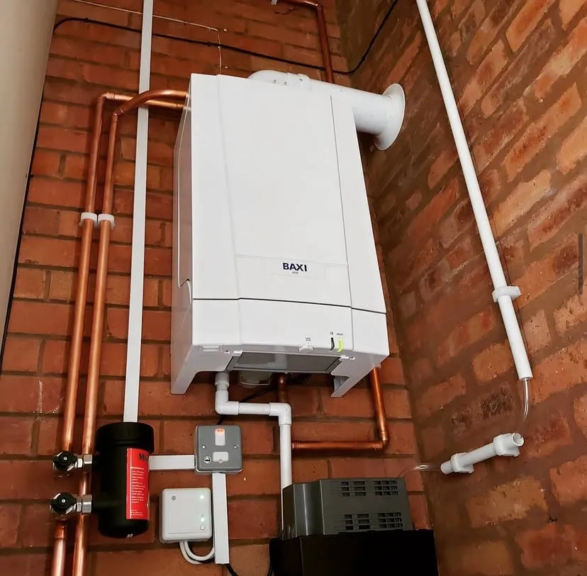 Recent Rose Heat Repair project